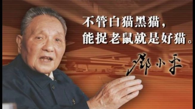 宋凯主席引领青少年成长之路