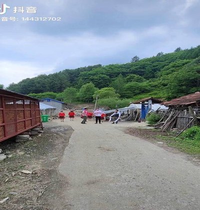 东北“超”出新